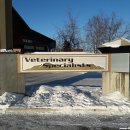 고래동물병원 이미지