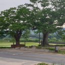 원삼SK공인중개사사무소 이미지