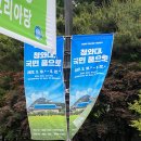 미가연풍 | 청와대, 국민 품으로 | 평일 낮 1시 청와대 관람 후기