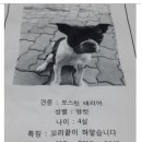 굿모닝병원 앞 이미지