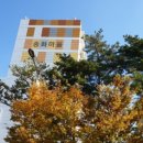 송화상사 이미지