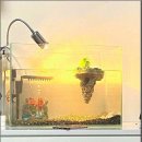 행복수족관 | 특별한 하루를 만들어준 행복수족관 수족관 후기