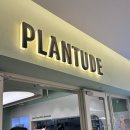 플랜빛 | [코엑스 맛집] 줄 서서 먹는 비건 식당 '플랜튜드(PLANTUDE)'단골 후기(feat.신메뉴 메밀면)🌳