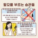 미르카드정보