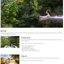 제천 레스트리 리솜 S20케어룸 + 해브나인스파,별채,웰니스요가,마묵라운지 +근처맛집 내돈내산 후기
