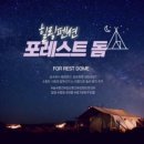 포레스트152