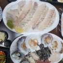 로또문어숙회 이미지