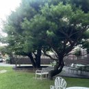 마평4통 이미지