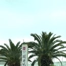 제주 공항근처 맛집 : 착한집 본점 • 연예인들이 찾는 갈치회 갈치조림 고등어조림 맛집