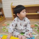 리틀하버드어린이집 이미지