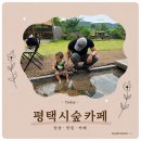 현덕로 | 평택 시숲 내 돈 내산 후기｜아기랑 강아지랑 함께 가기 좋은 대형카페