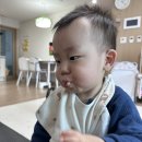서서네