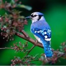 창의아트스쿨 이미지