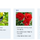 일산고봉고봉1 | [지명사전] 고봉의 기상과 덕양의 온화함이 만난 천년의 터전, 고양시(高陽市)