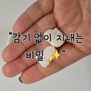 하이웰 | [솔직후기] 환절기 면역 챙기려면? 하이웰 콜로스트럼 밀크 1500 먹어본 경험