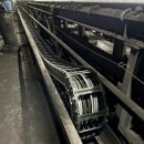 씨피코리아 이미지