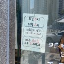 김밥열리는나무