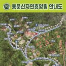 용문산자연휴양림 이미지