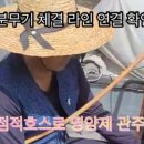 관주 이미지