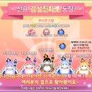 황제 펫 이미지