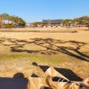 석탑로 | 부여 가볼만한 곳 | 궁납지, 정림사지석탑, 국립부여박물관, 하나로마트 풀코스