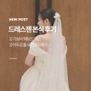 드레스젠 | 워크인 신부의 드레스젠 본식 후기｜가성비 웨딩의 정석