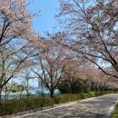 신석체육공원 입구 이미지