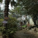 오태균음악비 이미지