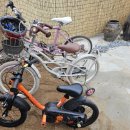 알로하스테이 이미지