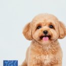 (주)바로메디 이미지