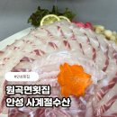 사계절 수산 | 안성 원곡면횟집 사계절수산 광어회 솔직후기