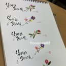[3분기] 캘리그라피&수채 일러스트 네이버블로그