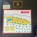 양평 계곡 캠핑장 | 노문 야영장 | 당일치기 힐링 캠프닉 +카페 그리심