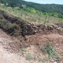 형재농장 이미지