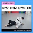 용인대 명성 합기도 이미지