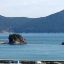 통영터널로가로수 이미지