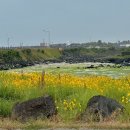 신촌2548 이미지