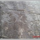 순창 자연 양돈 이미지