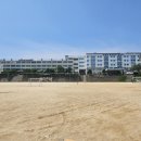광성고등학교 | 성인지감수성 샌드아트 모니터링 후기/광성중학교/인천시교육청/곽대