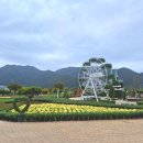 중부-현장-중부-815 | 2024 양산국화축제 정보 + 작년모습&amp;황산공원 현상황