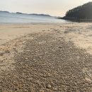 사창해수욕장 티스토리