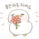 주식회사 굿초이스 이미지