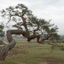 대정호수 이미지