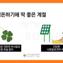 클로버 태양광발전소 이미지