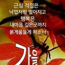 민둥산 억새 축제ㅡ11월 5일ㅡ샤방 산악회 ㅡ성남 모란역 ㅡ건대역 5번출구ㅡ구의역 5번출구 에서 출발 합니다 ㅡ 이미지