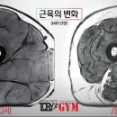 토리짐 휘트니스 이미지