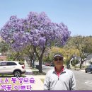 금강온천 이미지