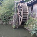 배드민턴체육관 이미지