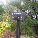 금강산가는길 이미지