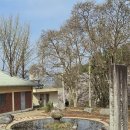 서원 | 거창 덕천서원 벚꽃 후기